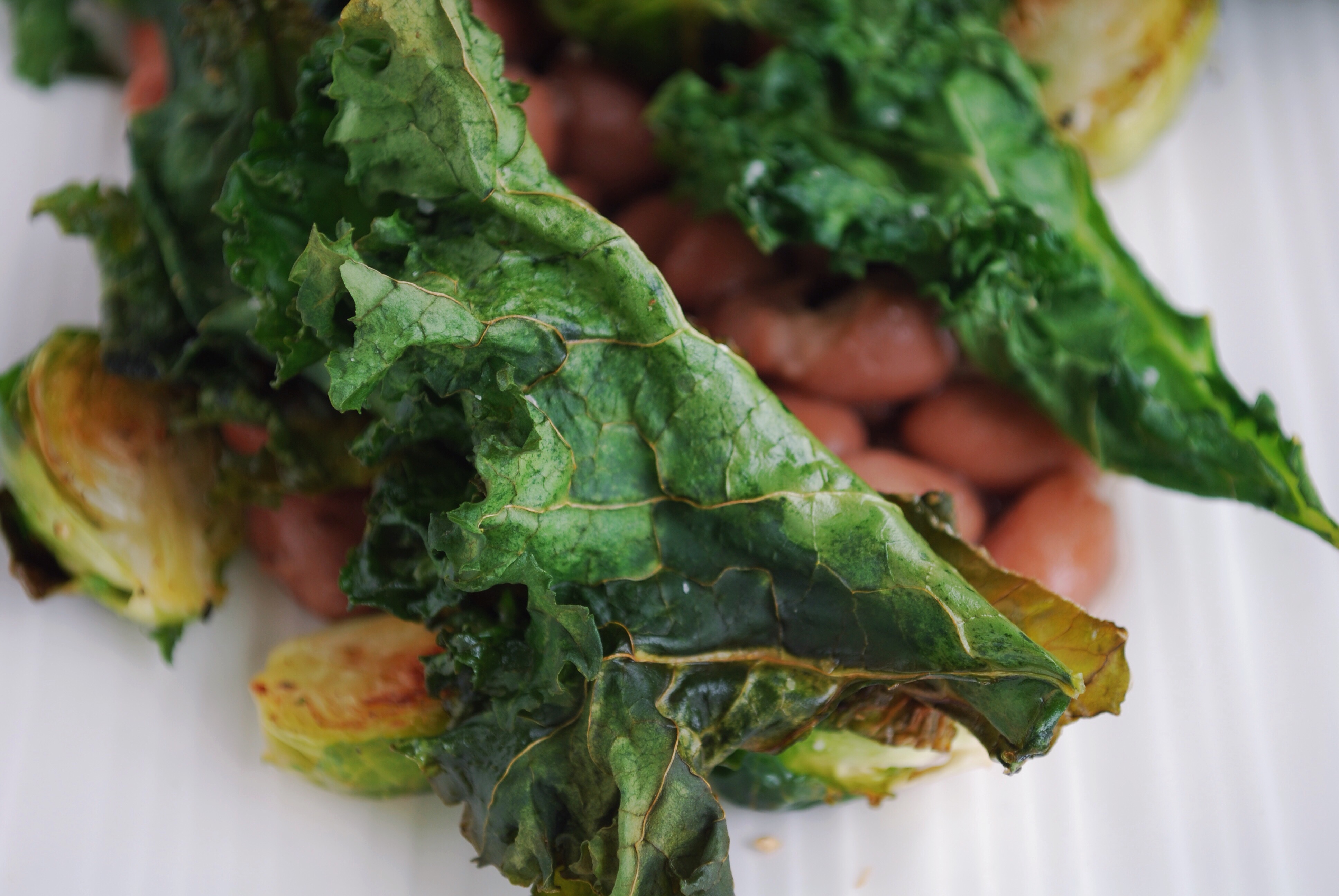 Kale & Pinto Beans: Crispy kale, creamy pinto beans, and sweet roasted brussels make up this play on a restaurant favorite! Filled with protein and vitamins, this healthy gluten free and vegan entrée is sure to satisfy! || fooduzzi.com