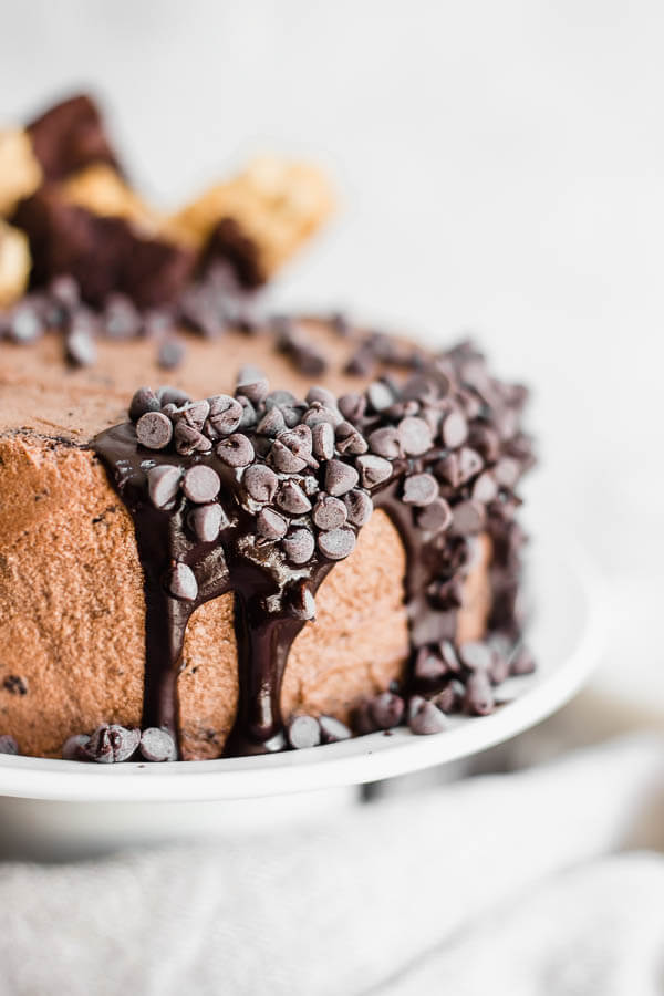 chocolate cake with fudge dripping and mini chocolate chips