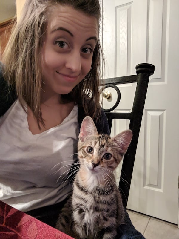 A cute cat and a girl