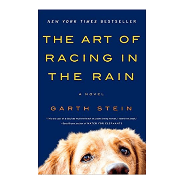 the art of racing in the rain by garth stein