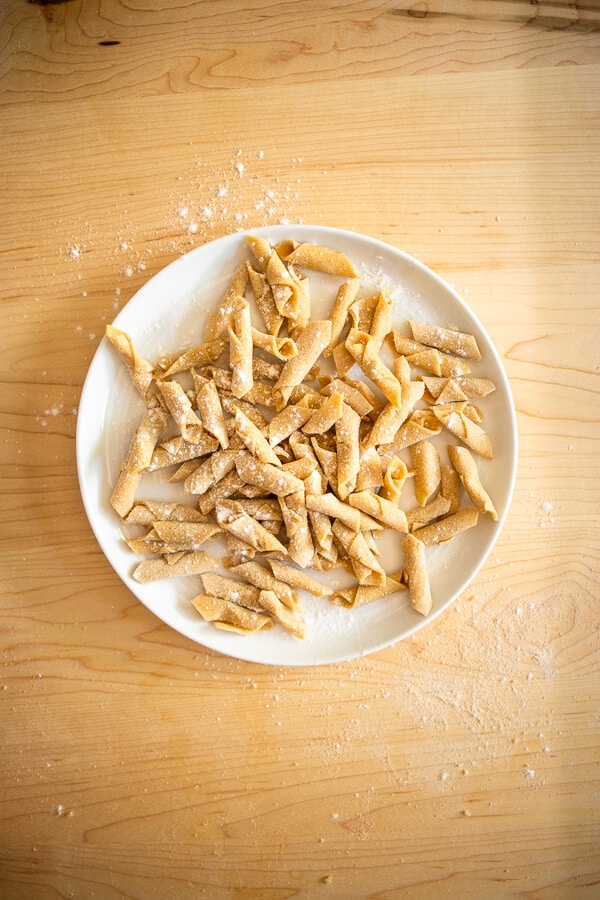 a plate of homemade garganelli pasta on a wooden surface