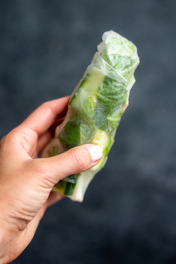 A hand holding a Summer Spring Roll from the Food52 Vegan cookbook