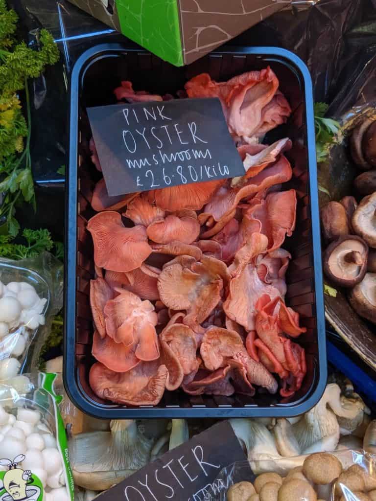 pink oyster mushrooms found at the Borough Market in London