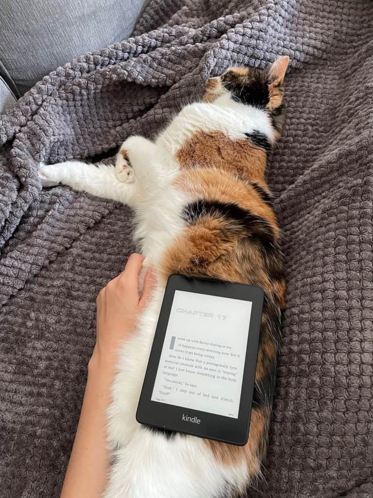 a calico cat with a kindle on her stomach laying on the couch